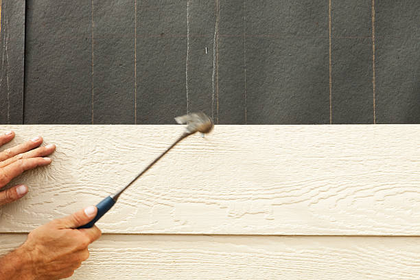 Best Historical Building Siding Restoration  in Whitg, IN